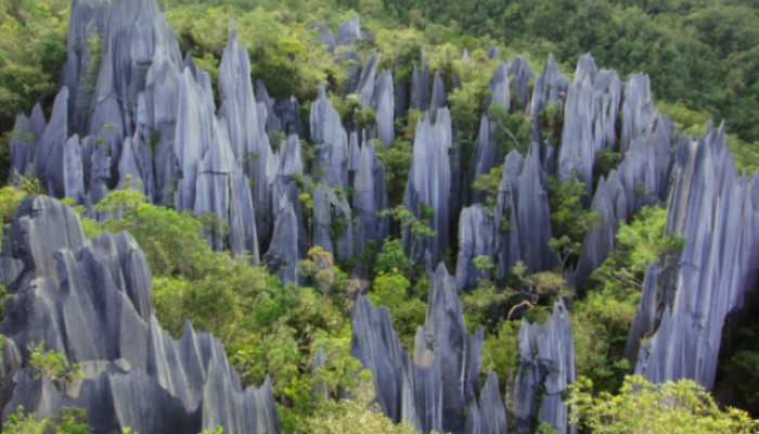 Tempat Wisata di Kalimantan yang Banyak Dikunjungi