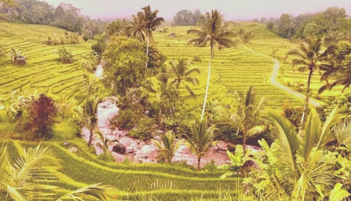 Tempat Wisata di Pulau Bali yang Terkenal Akan Keindahannya