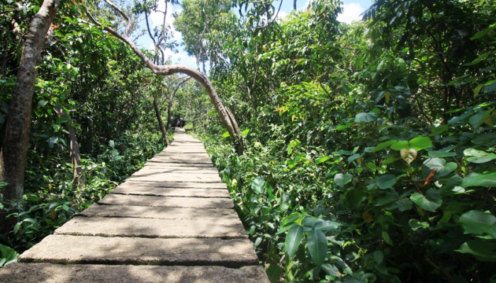 Tempat Wisata di Kalimantan yang Banyak Dikunjungi