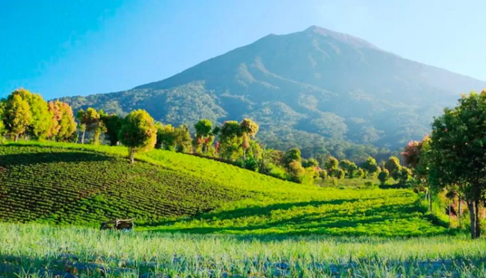 Destinasi Wisata di Sumatera yang Mesti Dikunjungi