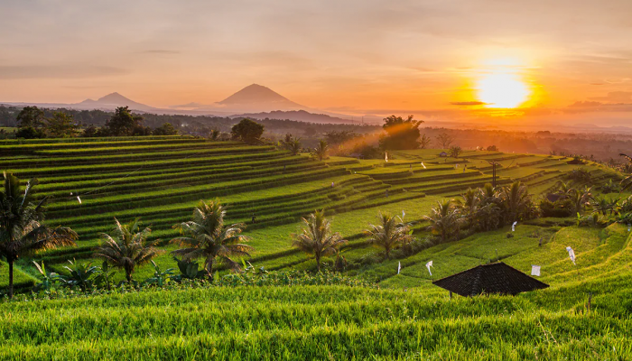 Tempat Wisata di Pulau Bali yang Terkenal Akan Keindahannya