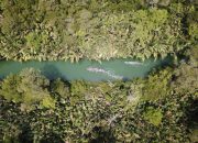 Pesona Pulau Peucang, Surga Tersembunyi di Ujung Kulon