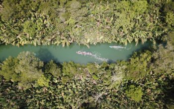 Pesona Pulau Peucang, Surga Tersembunyi di Ujung Kulon