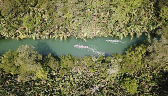 Pesona Pulau Peucang, Surga Tersembunyi di Ujung Kulon