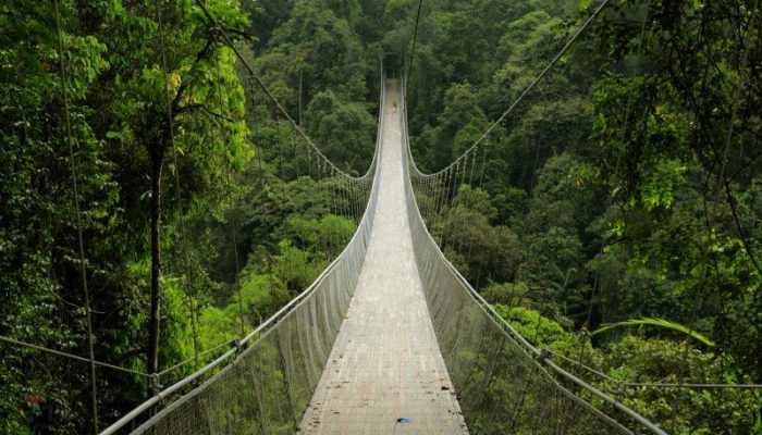 Jembatan Gantung Situ Gunung – Wisata Alam Ikonik